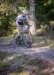 photo49_small.jpg